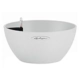 Lechuza Cubeto Color Bowl 40-Quartz