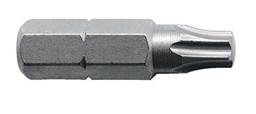 Punta Tx25 x25mm - 25uds