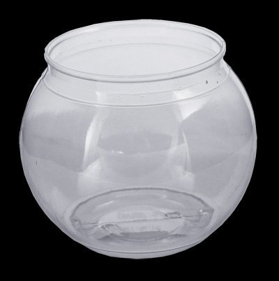 Fishbowl 20oz
