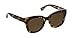 Peepers by PeeperSpecs Women's Center Stage Sun Oversized Reading Glasses, Tortoise, 52 mm + 1.75