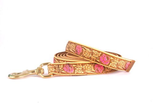 Red Haute Horse LRP1205LD High Fashion Horse Lead, Leather Rose Pink