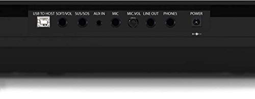 Artesia PE-88 | 88 Key Digital Piano with Semi Weighted Action & Built In Speakers + 130 Premium 3D/3 Layer Voices & 100 Rhythms Fully Orchestrated + Power Supply + Sustain Pedal + Teaching Software - Thumbnail 4