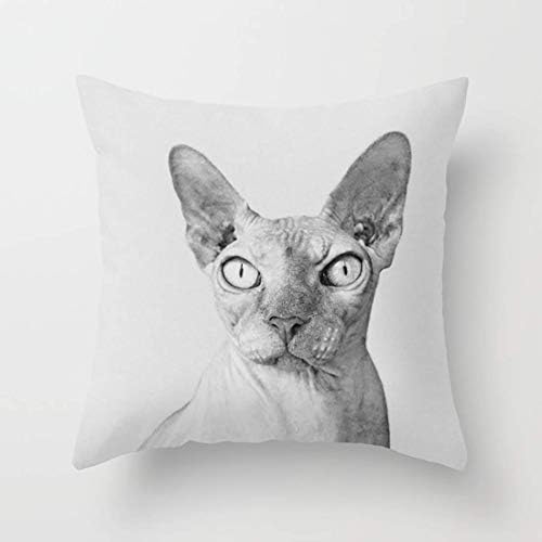 FJPT Throw Pillow Cover Black and White Photo Shynx Hairless Cat Cotton Pillowslip for Sofa Bed Stand Size Pillowcase 18x18 Inch