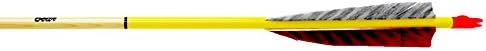 Rose City Archery 70-75 Spine Bear Archery X400 Arrows with 6-Points (Half Dozen), 23/64", Yellow