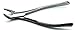 Dental Extracting Forceps 151 Lower Incisors Root Teeth Surgical Extraction Instruments