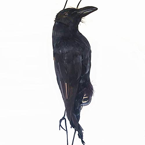VABAMNA Dead Crow Decoy Realistic Hanging Fake Crow 17 inch Large