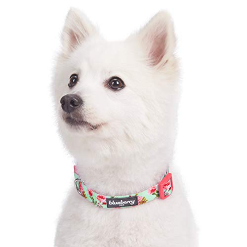 blueberry pet - collar para perro ajustable de color turquesa con estampado floral inspirado en fragancias primaverales de 7 patrones, tamaño extra pequeño, cuello 8 