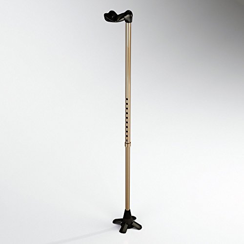 Walking Sticks, Canes and Walking Sticks For Men, Best Walking Cane For