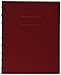 Blueline Notepro Composition Notebook, Red, 9.25 x 7.25 inches, 192 Ruled Pages (A9C.83)