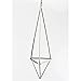 Wall Freestanding Hanging Metal Triangular Shape Tillandsia Air Plant Holder Rack Geometric Himmeli Sculpture Bronze Color (HEIGHT 9.8 inches) No Plants