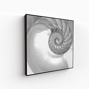 Canvas Wall Art for Living Room, Bedroom Portrait Framed Canvas Prints for Home Decoration Ready to Hang - 16x16 inches