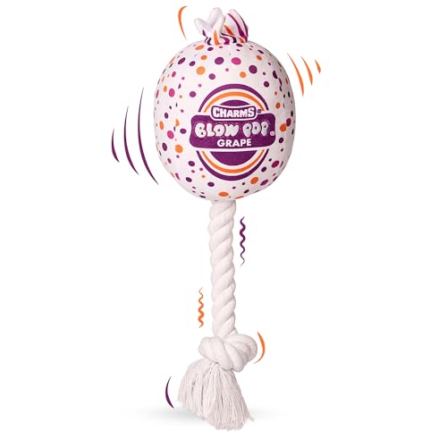 Blow Pop Plush & Rope Dog Toy – Scented Squeaky Plush with Durable Rope Stick –…