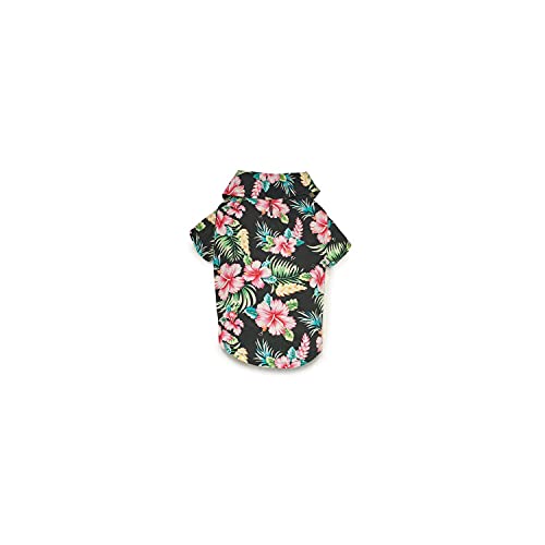Casual Canine Camisa para Perro, Algodón, Negro, XL