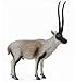 Collect A Wildlife Chiru - Tibetan Antelope Toy Figure