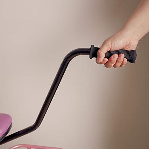 CyclingDeal Bike Bicycle Children Kids Training Handle Balance Buddy