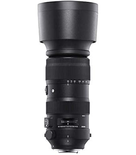 Amazon.com: Sigma 150-600mm F5/-6.3 DG DN for L Mount : Sports