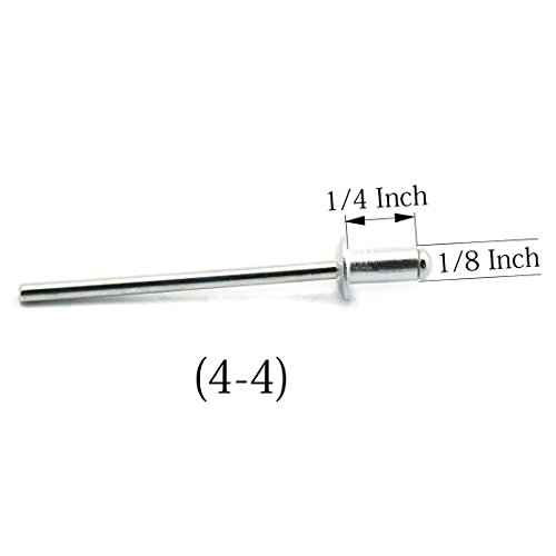 HJ Garden 60pcs 1/8" x 1/4" (4-4) Aluminum Blind Pop Rivet Round Dome Head Open End Decorating Fastener Nails Pop Rivets