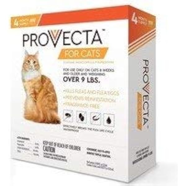 best price bravecto for cats