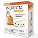 Provecta Advanced for Cats Over 9 Lbs. (4 dose), Orange
