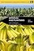 Bananas and Plantains (Crop Production Science in Horticulture, 19)