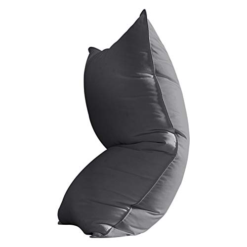 Dorrin Nessin Goose Down Pillow King Size Siberian Down Bed Pillow