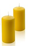Light In the Dark Pillar Citronella Candle - Set of 2 Summer Scented Citronella Candles - 6 inch Tall, 3 inch Thick - Mosquito Bug Repellent for Indoor/Outdoor Use - Made in USA