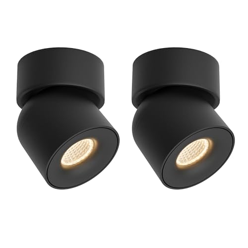 Aisilan LED Ceiling Spot Light Indoor Dimmable 2