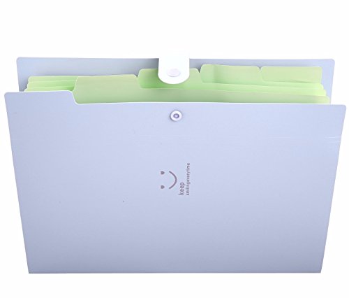 Lateral File Folders Expandable Plastic Portable Classification Accordian Folder Organizer