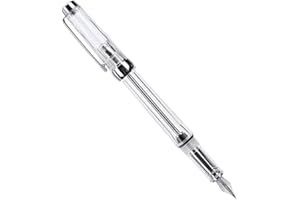 Fountain Pen, Business Pen, Lightweight Large Capacity Smooth Writing School Stationery For Office Schooltransparent White Du