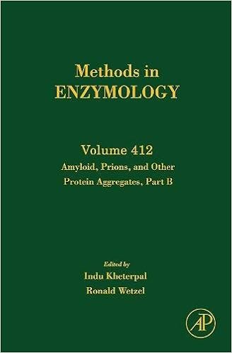 Amyloid, Prions, and Other Protein Aggregates, Part B: Volume 412 (Methods in Enzymology)