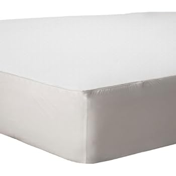 Mainstays Bed Bug Allergy Mattress Encasement Walmartca My War