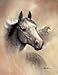 4 Horse Art Prints Mare Pictures Foal Posters Home Decor Interiors