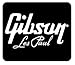 LES PAUL GIBSON GUITAR vinyl decal 3078. Great for Car Truck SUV Windows, Laptops, Instument cases, or wall decoration. (6 x 6 In, White)