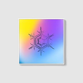 Framed Canvas Wall Art for Living Room, Bedroom Snowflake Theme Canvas Prints for Home Decoration Ready to Hang - 16x16 inches