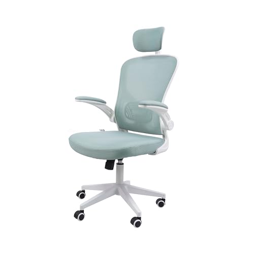 Cadeira Ergonômica Eurynom, Giratória, para Escritório e Home Office, com Encosto Reclinável (Modo Balanço), Braços Pivotantes, Apoio de Cabeça, Apoio Lombar (Azul Esverdeado)