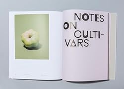 William Mullan: Odd Apples