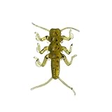 Nikko Stonefly