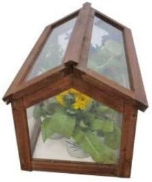 Invernadero Gardiun Narciso 51x31x30, 5 cm: Amazon.es: Jardín