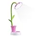 Small Desk Lamp, EAGWELL Kids Desk Lamps for Girls Touch Control Dimming Light Flexible USB Rechargeable Desk Lamp Cute Lamp Studying Lamp with Pencil Holder (Pink)