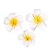 Princess Costume Dress Up Party Supplies Cosplay Accessory Necklace Gift Toy Doll Birthday For Girls (Necklace & Flower Hair Clip)