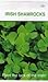 Set of 3 Lrg Shamrock Seed Packets