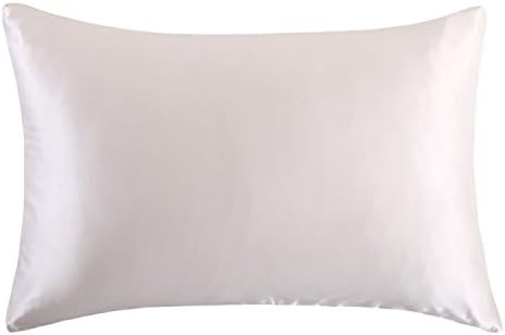 Olanby 100% Mulberry Silk Pillow Shams Cover with Hidden Zipper Pillowcase (Queen, Ivory)