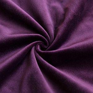 COMFORTLAND 16 x 16 Decorative Pillow Covers Pack of 2 Solid Soft Velvet Square Throw Pillow Cases Set Accent Pillowcases Euro Cushion Covers for Farmhouse Indoor Bedroom Sofa Couch Bed Kids,Eggplant