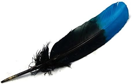 6 Pieces - Turquoise Blue and Black Two Tone Turkey Round Tom Wing Quill Secondary Feathers | Moonlight Feather