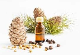 Pine Oil - Pure & Natural Essential Oil (200 ml)