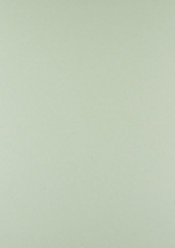 House of Card & Paper A4 220 GSM Coloured Card - Pastel Green (Pack of 100 Sheets), HCP141, A4 (210 x 297 mm)