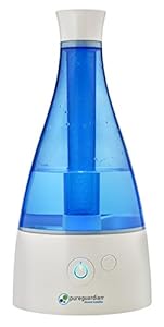 PureGuardian 4 - Best humidifier I have owned.
