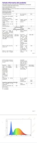 Somerick Schreibtischlampe LED - USB dimmbare Schreibtischlampe mit 5 Helligkeit & 5 Stufen, Schreibtischlampe mit Touch Control Licht zum Lesen, Büro, Arbeitszimmer (Schwarz)