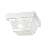 Westinghouse Lighting 66975 One-Light Porch-Light