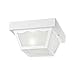 Westinghouse Lighting 66975 One-Light Porch-Light primary
